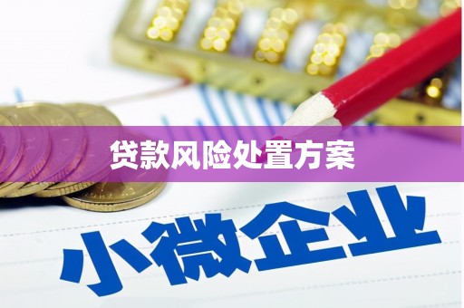 民勤贷款风险处置方案