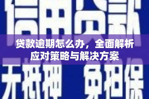 惠城贷款逾期怎么办，全面解析应对策略与解决方案