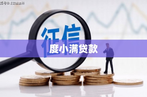 芦山度小满贷款