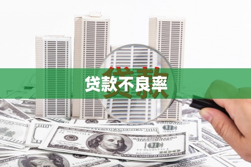保德贷款不良率