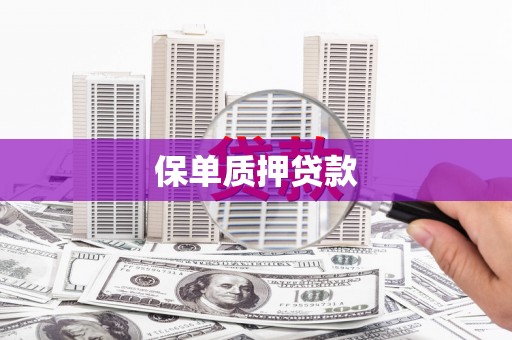 和田保单质押贷款