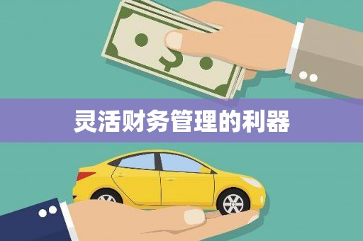 六安灵活财务管理的利器