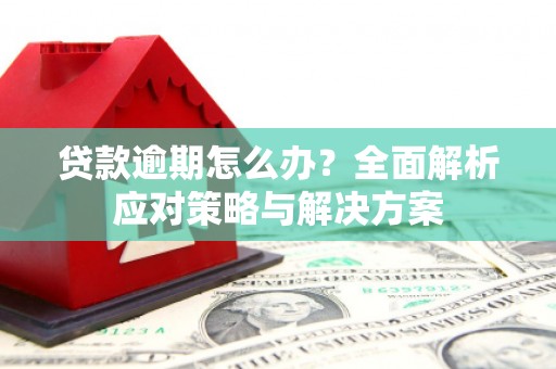沈河贷款逾期怎么办？全面解析应对策略与解决方案