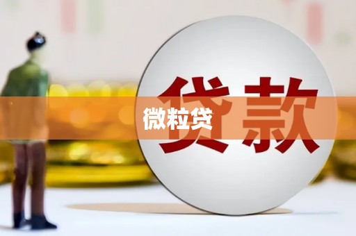 舞阳微粒贷