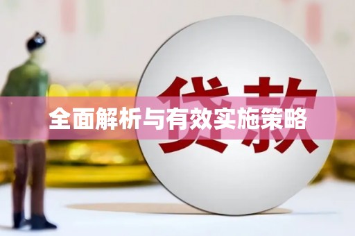 新蔡全面解析与有效实施策略