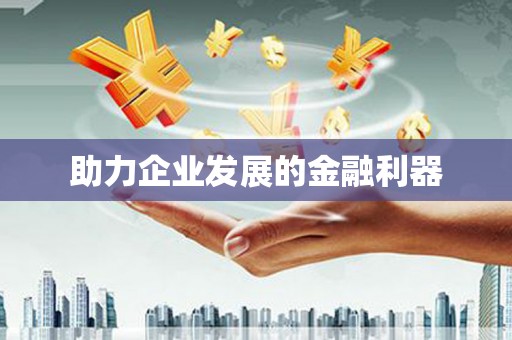 大武助力企业发展的金融利器