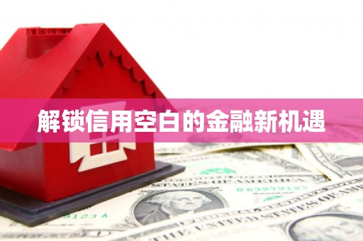 顺庆解锁信用空白的金融新机遇