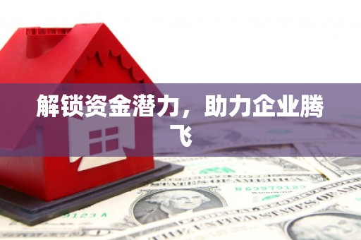 福建解锁资金潜力，助力企业腾飞